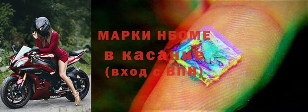 прущие грибы Алексеевка