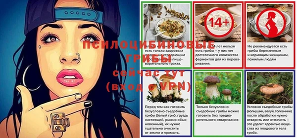 Альфа ПВП Алзамай