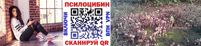 где купить наркоту  Сортавала  ссылка на мегу ссылки  Псилоцибиновые грибы GOLDEN TEACHER 